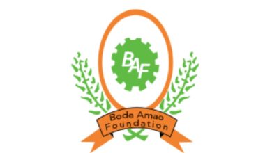 Bode Amao Foundation Scholarship 2025/2026: How to Apply (Free Application + ₦100,000 Annual Stipend)