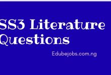 SS3 Literature Questions and Answers 2025