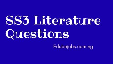 SS3 Literature Questions and Answers 2025