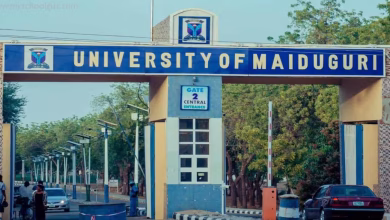 UNIMAID Admission List 2025/2026 is Out - Check Names & Pay Fees