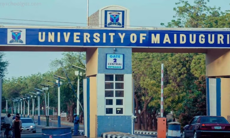 UNIMAID Admission List 2025/2026 is Out - Check Names & Pay Fees