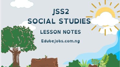 JSS2 Second Term Social Studies: Values, Culture